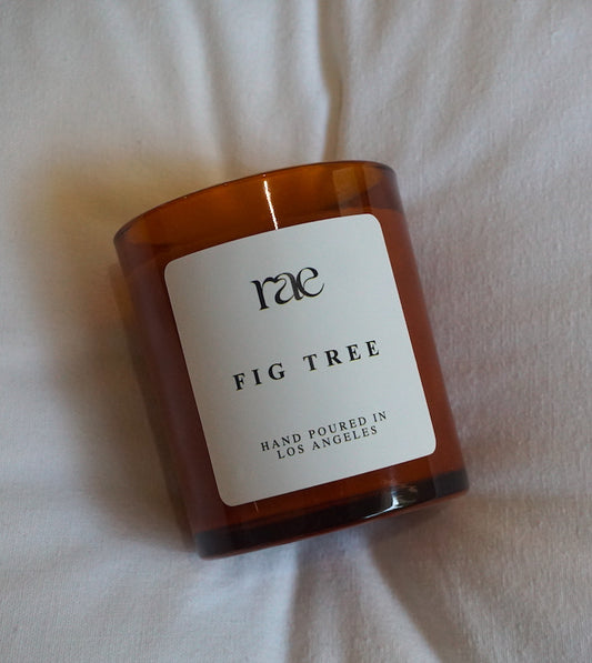 Fig Tree Candle Close up