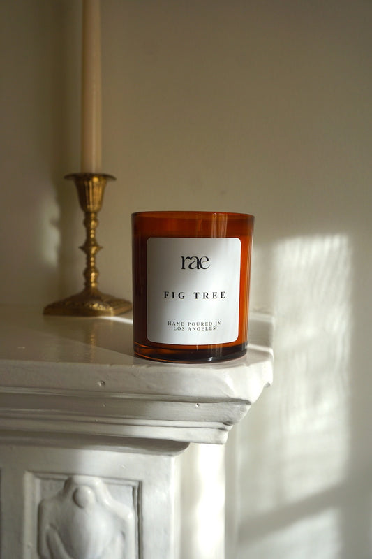 Fig Tree Candle on fireplace 